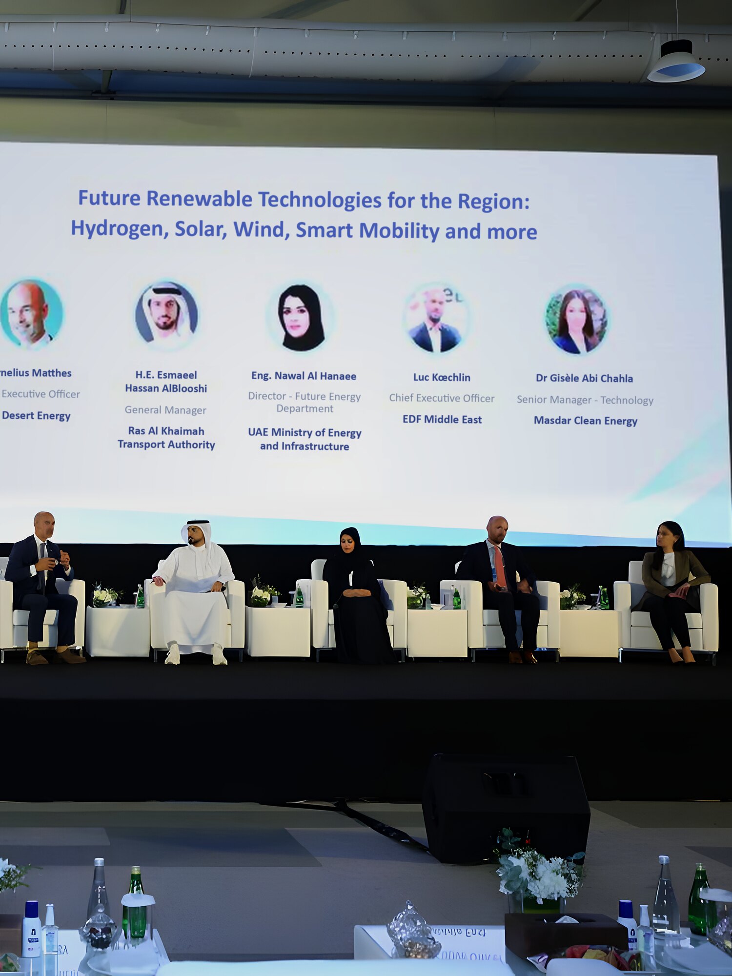 Panel discussion on future renewable technologies for the region at RAK Energy Summit